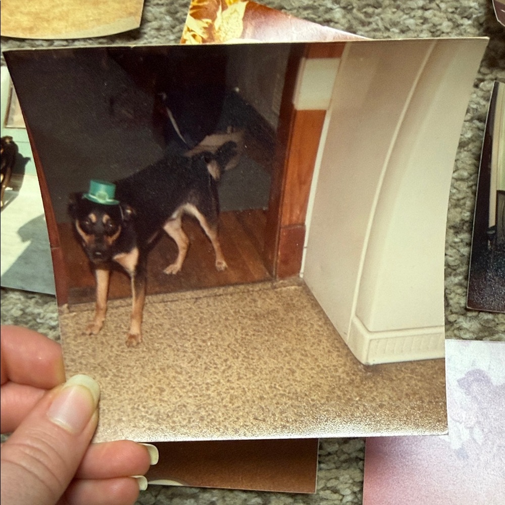 Vintage Photo Collection - Picture 3 of 11